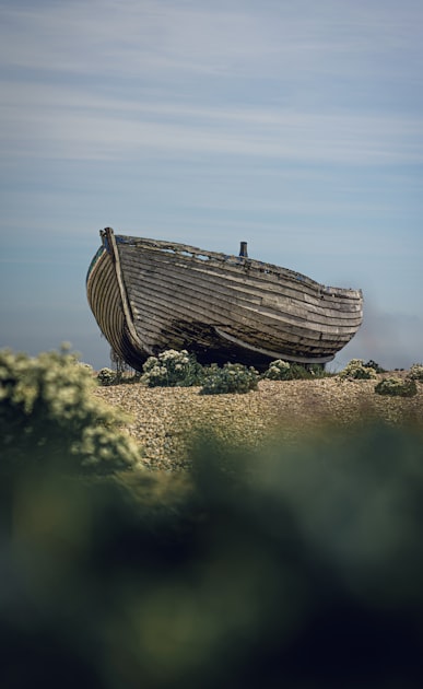 Exploring the North American Fishing Industry